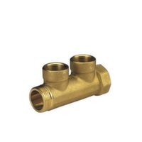 Колектор для теплої підлоги Bianchi 3/4" х2х1/2" ВР, l = 36 мм